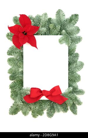 Poinsettia flower  border with snow covered spruce fir & red bow on white background. Festive theme for  winter, Thanksgiving & Christmas. Flat lay, t Stock Photo