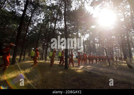 Tangshan, China's Hebei Province. 30th Oct, 2020. Fire fighters traverse the forest with heavy loads during a fire fighting drill, which is aimed at forest fire prevention in winter in Zunhua City of Tangshan, north China's Hebei Province, Oct. 30, 2020. Credit: Liu Mancang/Xinhua/Alamy Live News Stock Photo