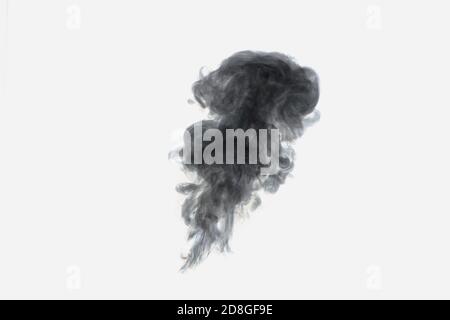 Abstract black steam or smoke circles on a white background. Original background, substrate, smoke texture Stock Photo