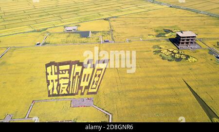 Five enormous yellow Chinese characters saying