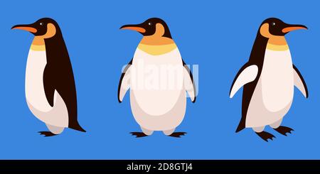 Penguin in different angles. Arctic animal in cartoon style. Stock Vector