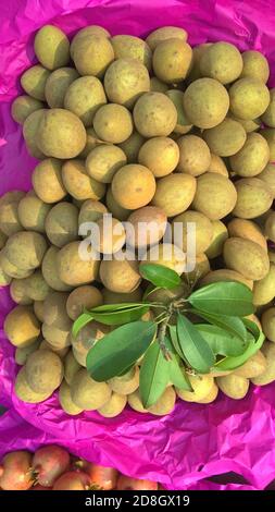 closeup view of stocked raw fruit Chikoo, Manilkara zapota commonly known as sapodilla, sapota, chikoo Stock Photo