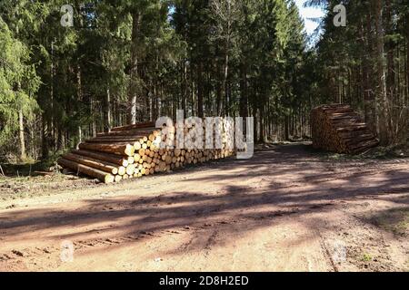 Pile of freshly cut logs on the side of a forest Stock Photo
