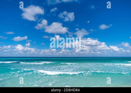 Beautiful tropical landscape with turquoise ocean. Horizon line on the background. endless clear blue sea and blue sky with white clouds merge on the Stock Photo