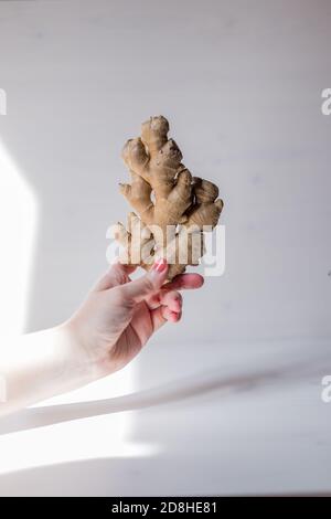 A hand holds a piece of ginger Stock Photo