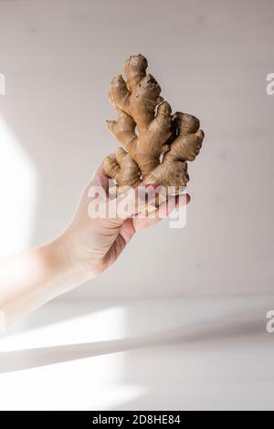 A hand holds a piece of ginger Stock Photo