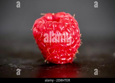 Single raspberry on a black slate background Stock Photo
