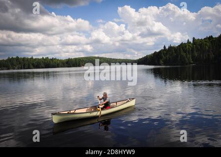 Canoeing in Ontario's Algonquin ProvinciaL PARK, ONTARIO, CANADA. Stock Photo