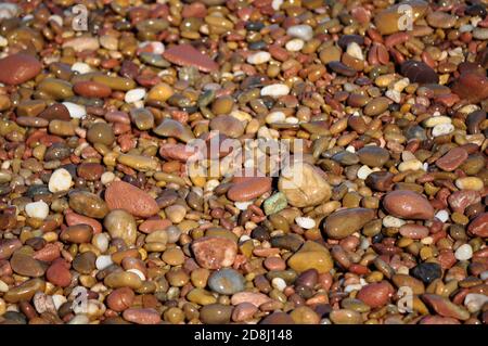 Shiny river pebbles and clean water running over river stones. Stock Photo