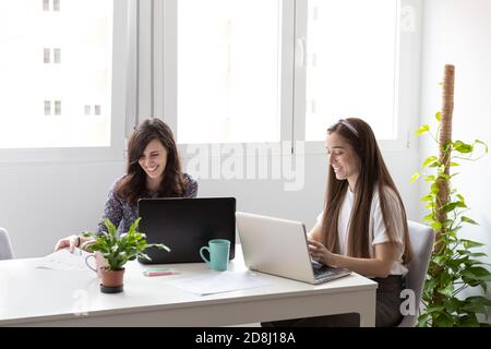 Happy female employees smiling and browsing laptops while working in office Stock Photo