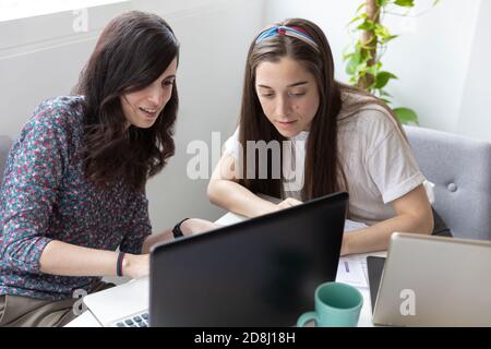 High angle of women analyzing data on laptop together while working in office Stock Photo