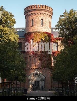 The medieval building called Kungshuset filled with ivy turning red during autumn in Lund Sweden Stock Photo