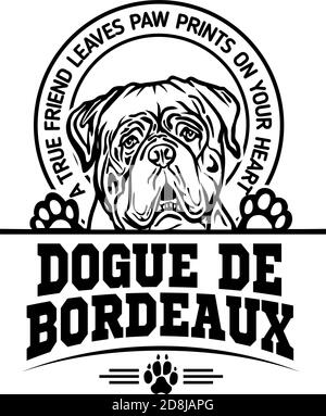 Dogue de Bordeaux Dog Happy Face Paw Puppy Pup Pet Clip Art K-9 Cop Police Logo SVG PNG Clipart Vector Cricut Cut Cutting Stock Vector