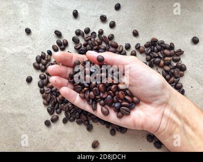 Fragrant coffee beans in hand, concept. Fresh roasted coffee beans pouring out of cupped hands into a burlap sack Stock Photo