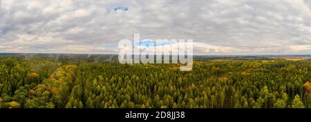 Fog after the rain over a autumn colored forest as a panoramic aerial, impressive nature. Stock Photo