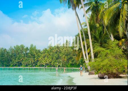 Tropical sandy beach with tall coconut palm trees on Island of Koh Kood, Thailand Stock Photo
