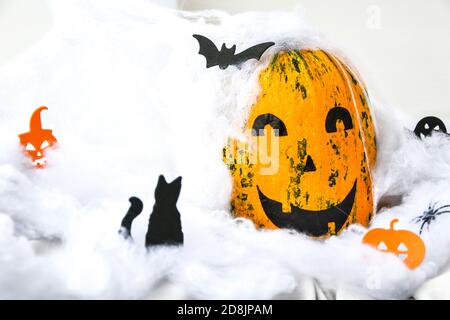 Pumpkin with painted face on a colored background for Halloween. Spider web. Holiday decorations. Stock Photo