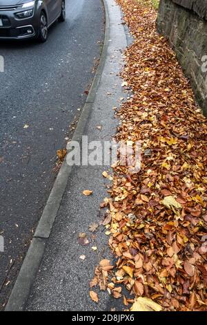Autumn leaves fallen onto a path Stock Photo