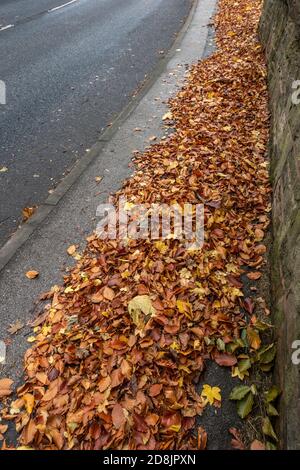 Autumn leaves fallen onto a path Stock Photo