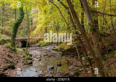 Wepre Park stream in autumn, North Wales Stock Photo