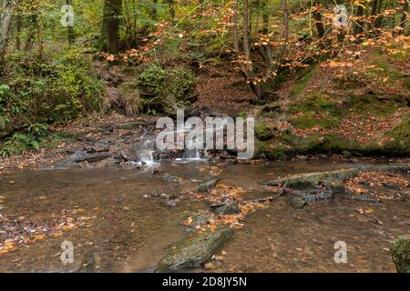 Wepre Park stream in autumn, North Wales Stock Photo