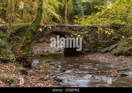 Old stone bridge in Wepre Park, North Wales Stock Photo