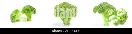 Collage of broccoli floret isolated on a white background Stock Photo