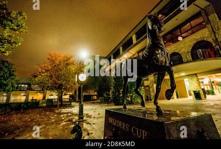 Lexington, KY, USA. 30th Oct, 2020. October 30, 2020: The view of the BreedersÕ Cup statue in the paddock at Keeneland Racetrack in Lexington, Kentucky on October 30, 2020. Scott Serio/Eclipse Sportswire/Breeders Cup/CSM/Alamy Live News Stock Photo