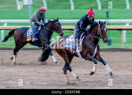 Lexington, KY, USA. 30th Oct, 2020. October 30, 2020: Keepmeinmind, trained by trainer Robertino Diodoro, exercises in preparation for the Breeders' Cup Juvenile at Keeneland Racetrack in Lexington, Kentucky on October 30, 2020. Scott Serio/Eclipse Sportswire/Breeders Cup/CSM/Alamy Live News Stock Photo