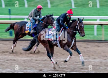 Lexington, KY, USA. 30th Oct, 2020. October 30, 2020: Keepmeinmind, trained by trainer Robertino Diodoro, exercises in preparation for the Breeders' Cup Juvenile at Keeneland Racetrack in Lexington, Kentucky on October 30, 2020. Scott Serio/Eclipse Sportswire/Breeders Cup/CSM/Alamy Live News Stock Photo