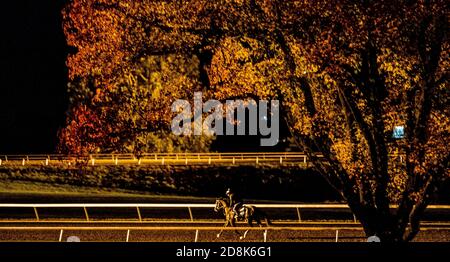 Lexington, KY, USA. 30th Oct, 2020. October 30, 2020: A horse jogs on the training track before sunrise at Keeneland Racetrack in Lexington, Kentucky on October 30, 2020. Scott Serio/Eclipse Sportswire/Breeders Cup/CSM/Alamy Live News Stock Photo