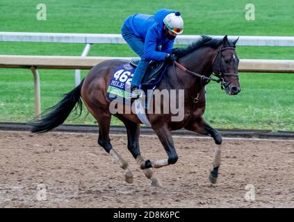 Lexington, KY, USA. 30th Oct, 2020. October 30, 2020: Raging Bull, trained by trainer Chad C. Brown, exercises in preparation for the Breeders' Cup Mile at Keeneland Racetrack in Lexington, Kentucky on October 30, 2020. Scott Serio/Eclipse Sportswire/Breeders Cup/CSM/Alamy Live News Stock Photo