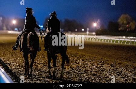 Lexington, KY, USA. 30th Oct, 2020. October 30, 2020: A horse waits to exercise during morning workouts at Keeneland Racetrack in Lexington, Kentucky on October 30, 2020. Scott Serio/Eclipse Sportswire/Breeders Cup/CSM/Alamy Live News Stock Photo