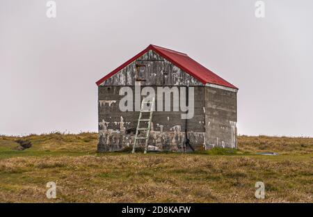 Stanley, Falkland Islands, UK - December 15, 2008: Closeup of Red-roofed gray barn standing on dry grassland against silver sky. Stock Photo