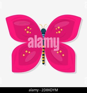 butterfly insect vector illustration in flat style Stock Vector
