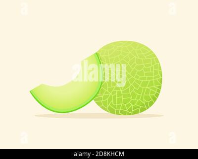 Melon fruit fresh slice juicy vitamin nutrition fiber white isolated background with flat color style Stock Vector