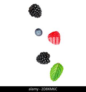 Isolated berries. Flying  mix  berries isolated on white background. Raspberry, Blueberry, Blackberry. red currant and Mint leaf Stock Photo