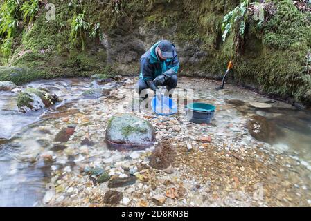Outdoor adventures on river. Gold panning Stock Photo