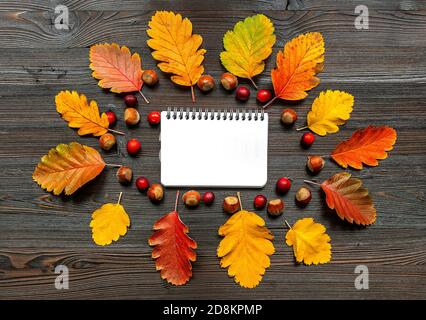 Autumn frame with fallen leaves and empty space on the wooden background Stock Photo