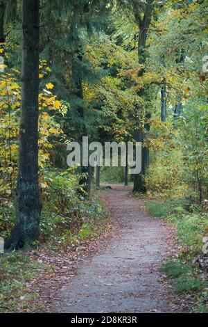 A vertical shot of a road leading through fall colors with granite ...