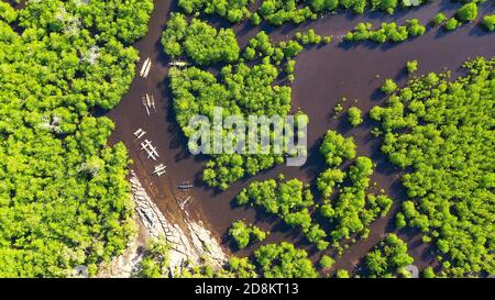 Mangroves in a swampy area on a tropical island. Mangrove landscape, Mindanao, Philippines. Stock Photo