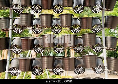 The background of old plant plastic pot hanging on metal fence at garden. Stock Photo