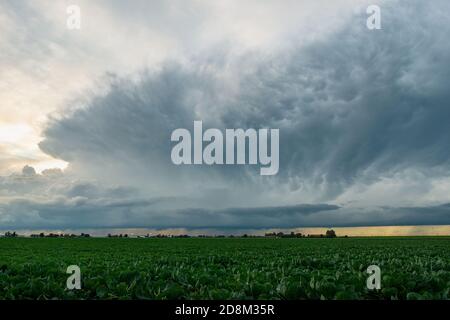 Strong storm with huge anvil and mammatus over agricultural fields in Holland Stock Photo