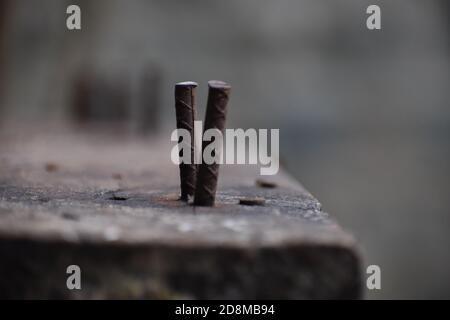 Twins Stock Photo