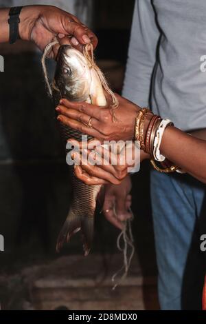 decoration of bengali fish curry Stock Photo - Alamy