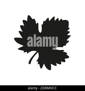 Grape Wine Leave silhouette on white background. Vector illustration. Stock Vector