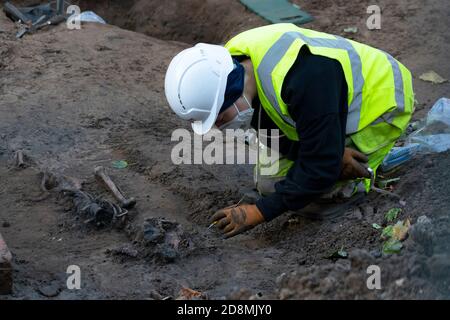 Archeologist working to remove Skeleton on Constitution Street in Leith on route of new Edinburgh Tram construction work, Scotland, Uk Stock Photo