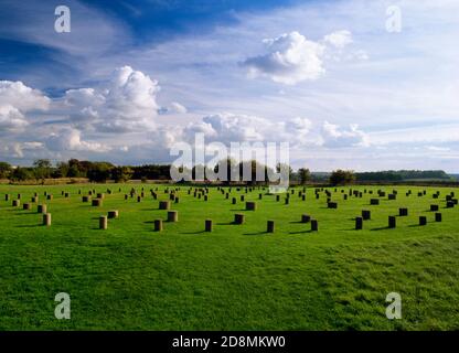 View S of Woodhenge, Wiltshire, England, UK: concrete bollards mark  site of a late Neolithic structure with 6 concentric oval rings of timber posts. Stock Photo