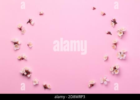 Spring composition of white flowers on a pink paper background. Stock Photo