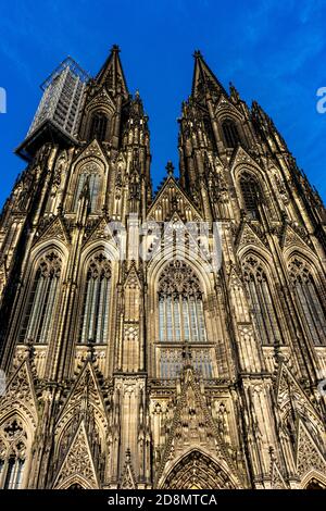 Vertical low angle shot of the Cologne Cathedral facade under the clear ...